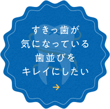 すきっ歯が 気になっている 歯並びを キレイにしたい